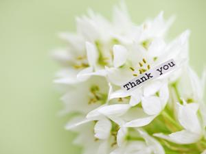 同人誌の印刷の依頼を検討中なら