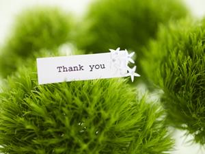 情報が豊富な大川インテリア家具通販でチェスト選び